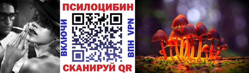Галлюциногенные грибы Cubensis  Купить  Тбилисская 
