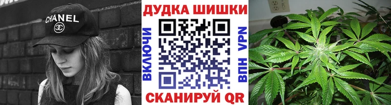 Бошки марихуана SATIVA & INDICA  Купить закладки  Тбилисская 